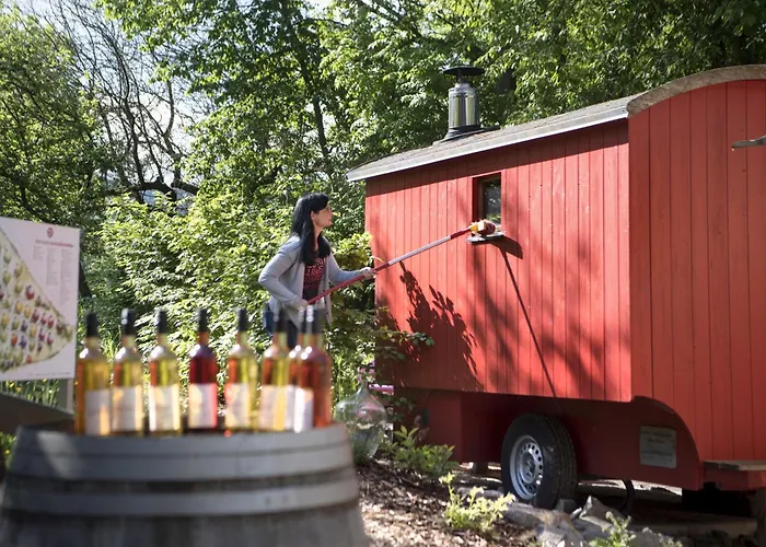 Krenzers Rhoen * Melperts